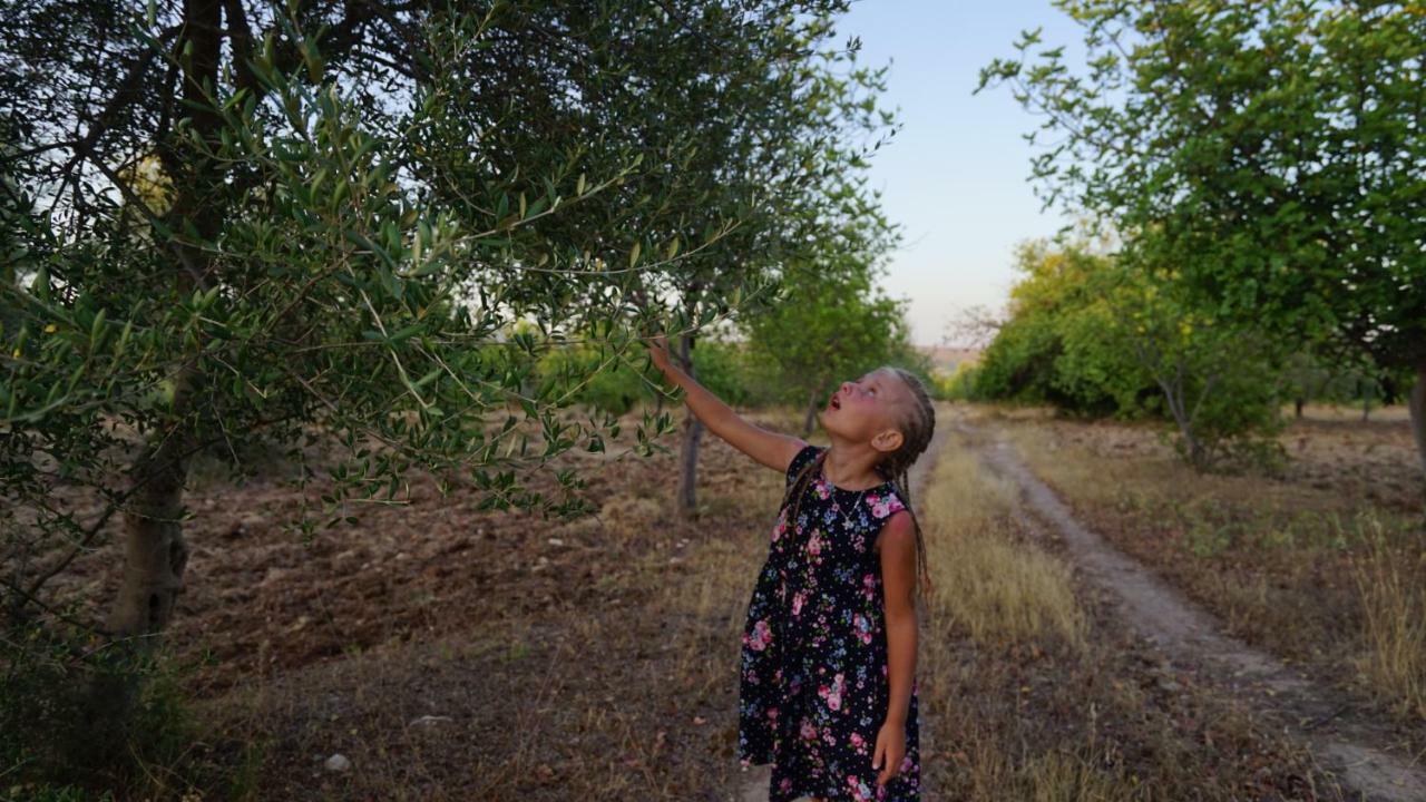 Agriturismo Gaia Villa Noto Exteriör bild
